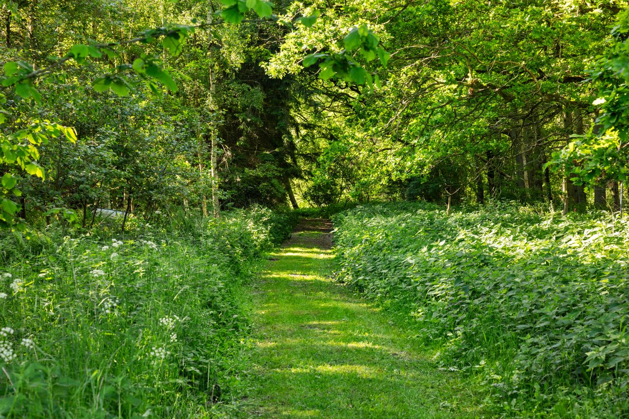 image 04