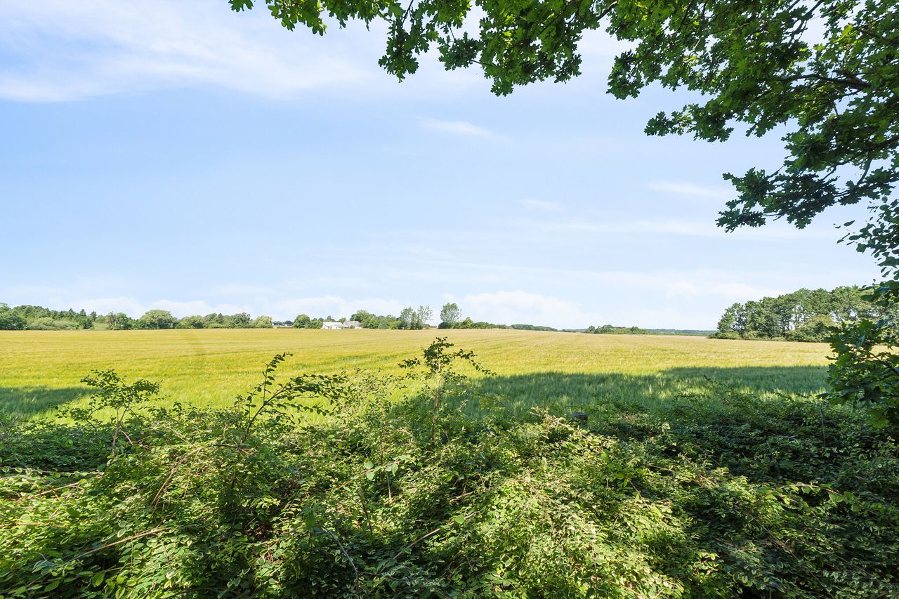 image 02