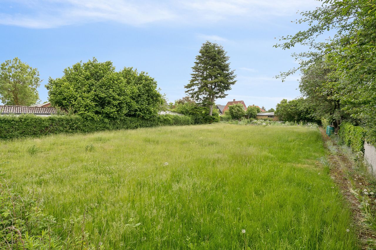 image 01